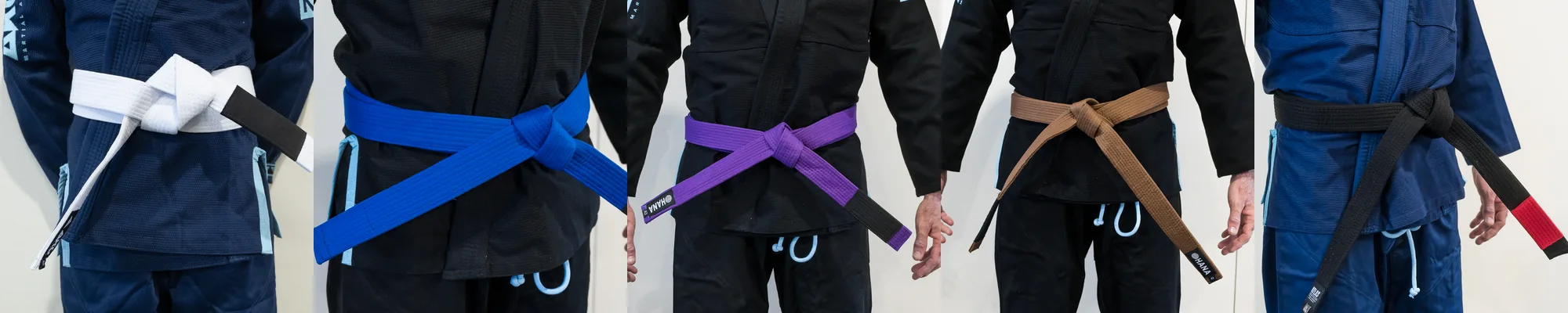 Adult BJJ Belt